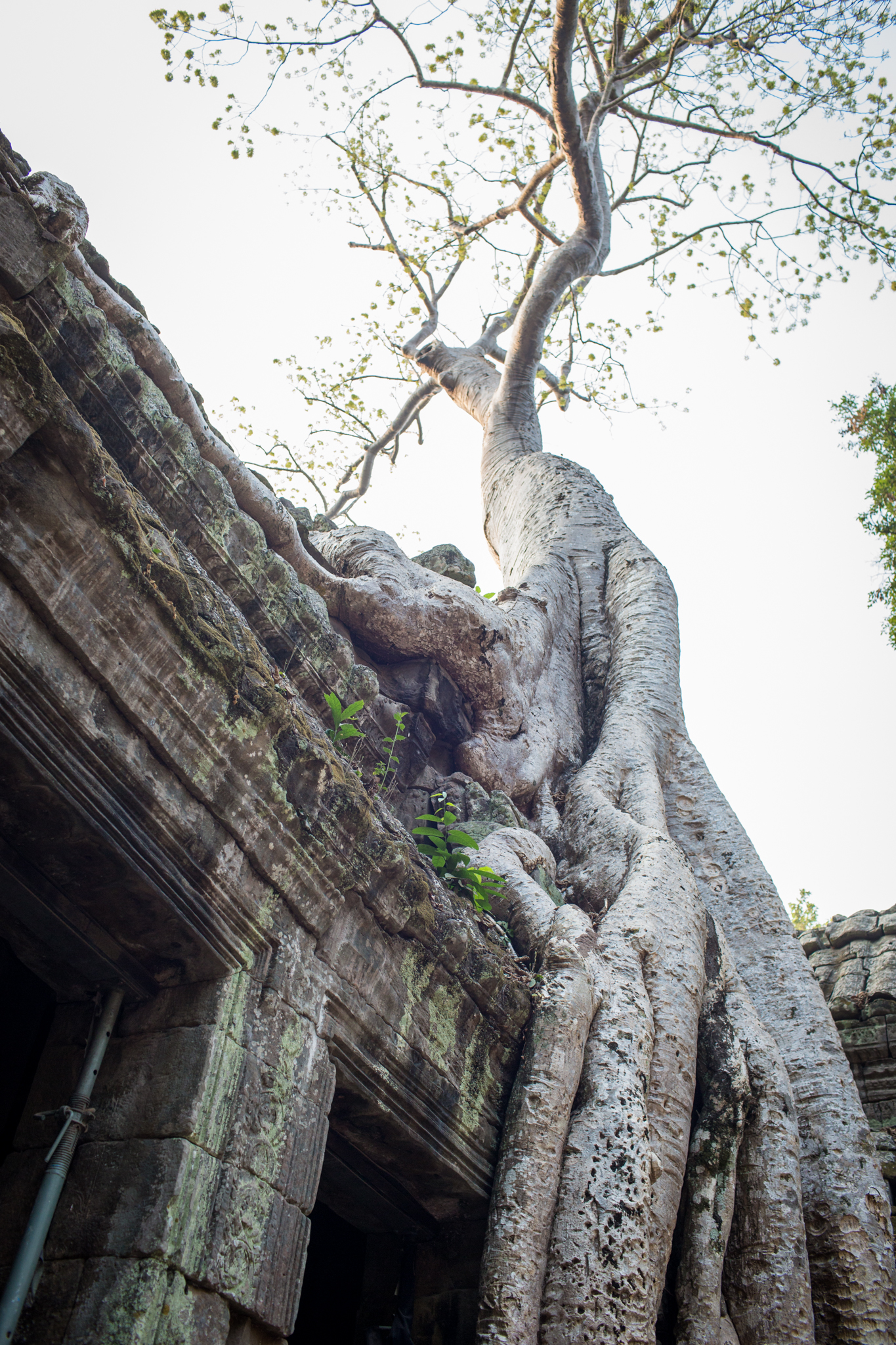 SiemReap-0009
