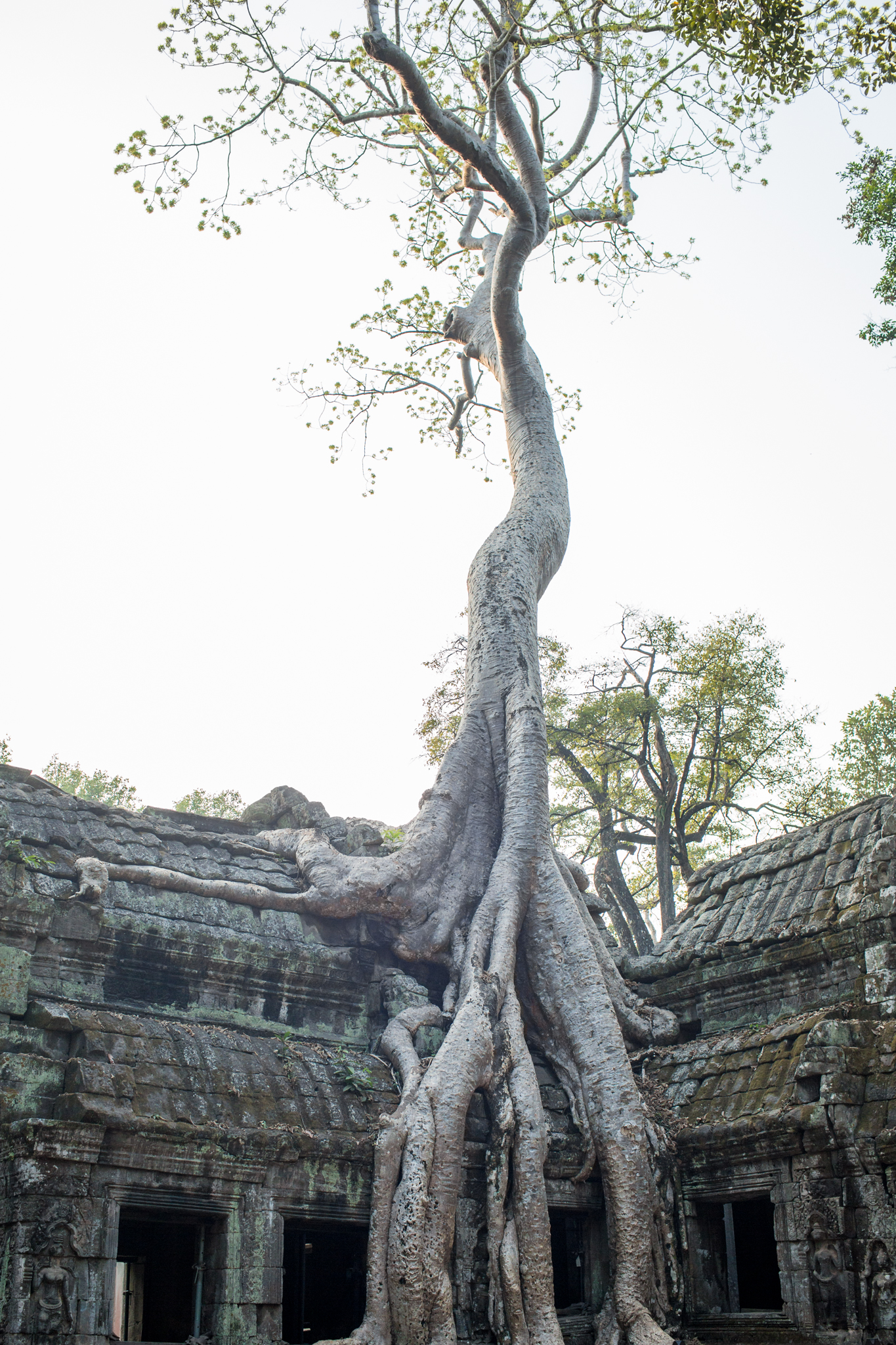 SiemReap-0010