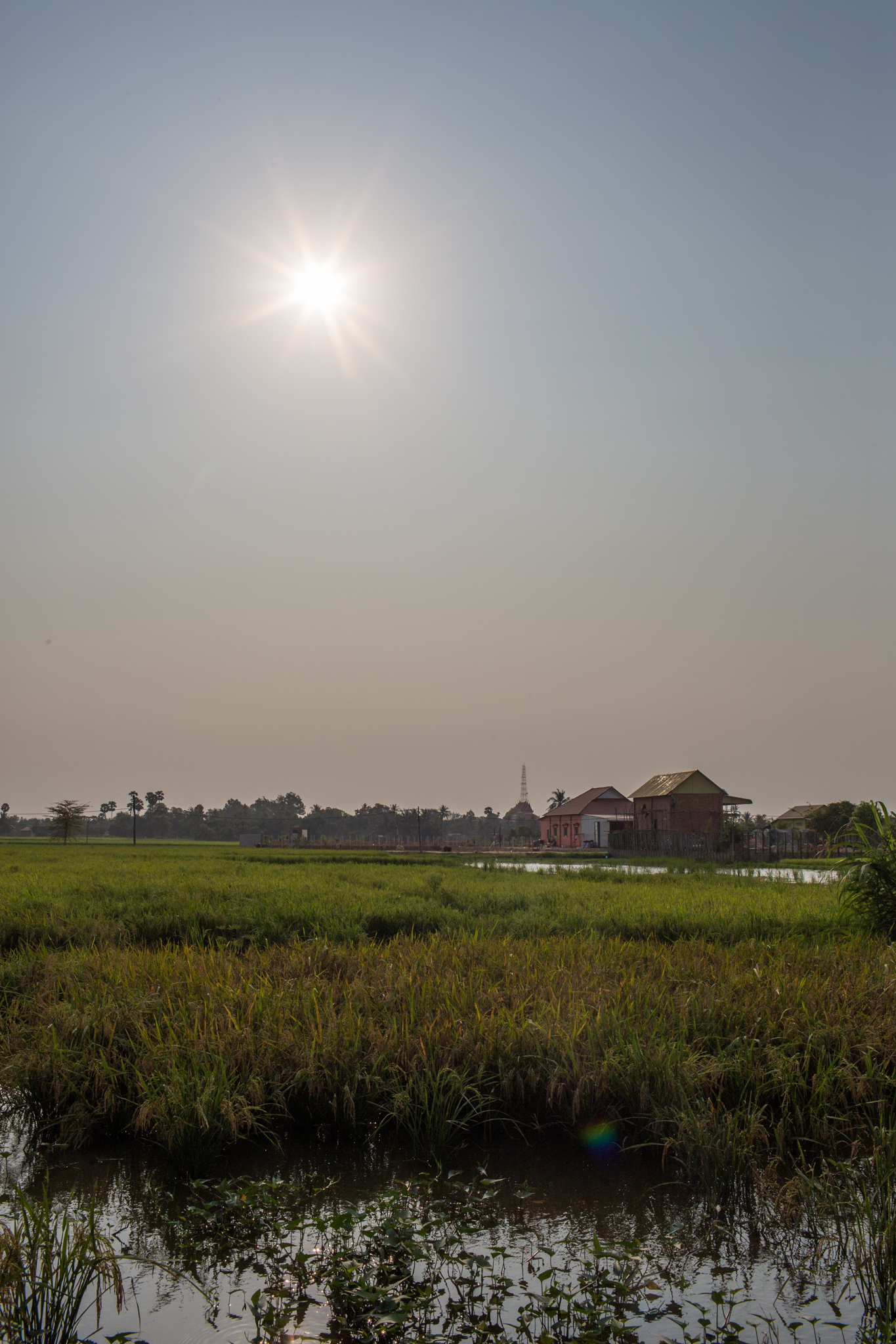 SiemReap-0035